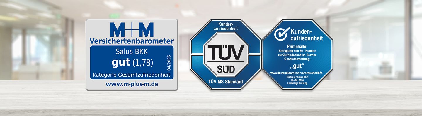 Siegel M+M und TÜV Süd